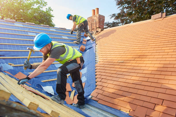 Best Roof Coating and Sealing  in Piednt, MO